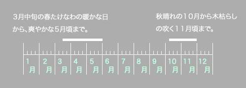 単衣の羽織りとコートを着る時